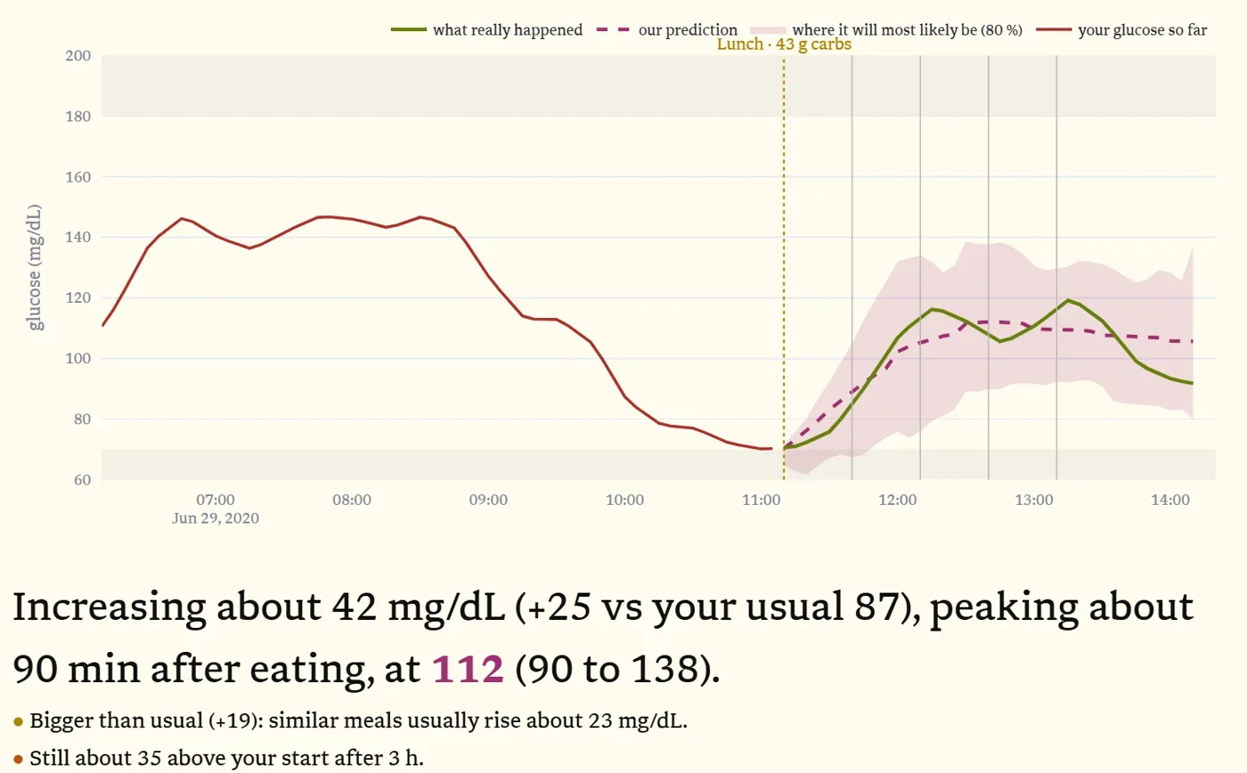 Glucklich predicting Maya's lunch: the dashed prediction, its band, and the real readings in green inside it